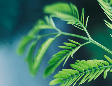 Environmental and I&D Metrics